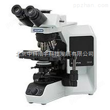BX43高质量正置研究级显微镜